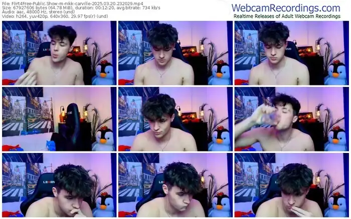 2025/03/20/flirt4free-nikk-carville-23-20-29