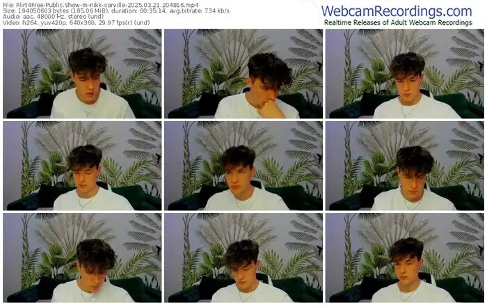 2025/03/21/flirt4free-nikk-carville-20-48-16