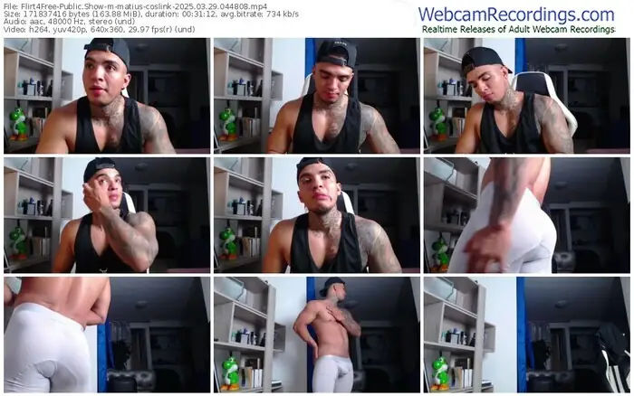 2025/03/29/flirt4free-matius-coslink-04-48-08