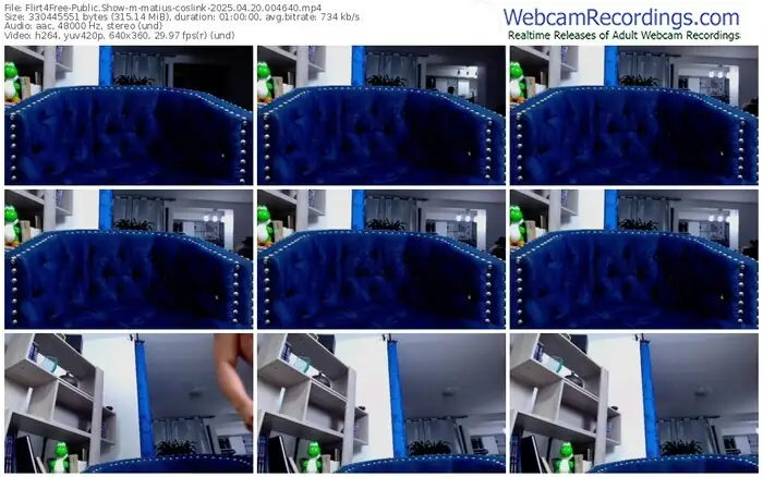2025/04/20/flirt4free-matius-coslink-00-46-40