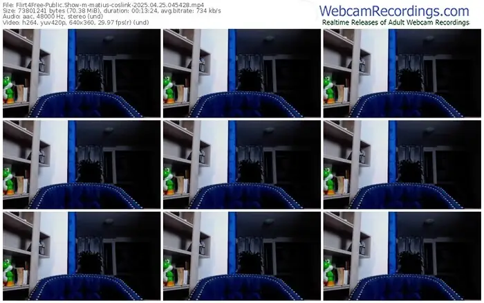 2025/04/25/flirt4free-matius-coslink-04-54-28