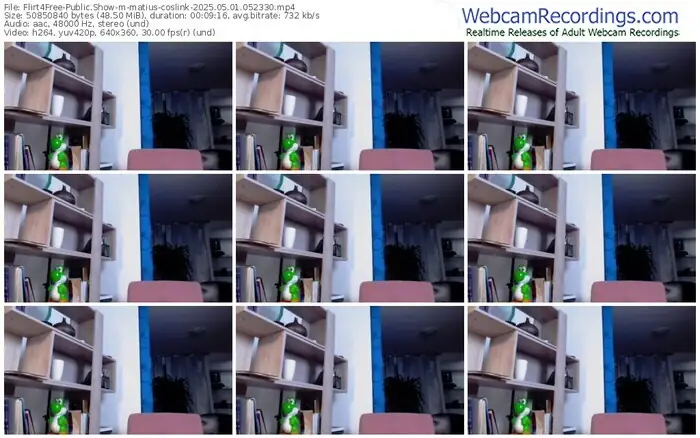 2025/05/01/flirt4free-matius-coslink-05-23-30