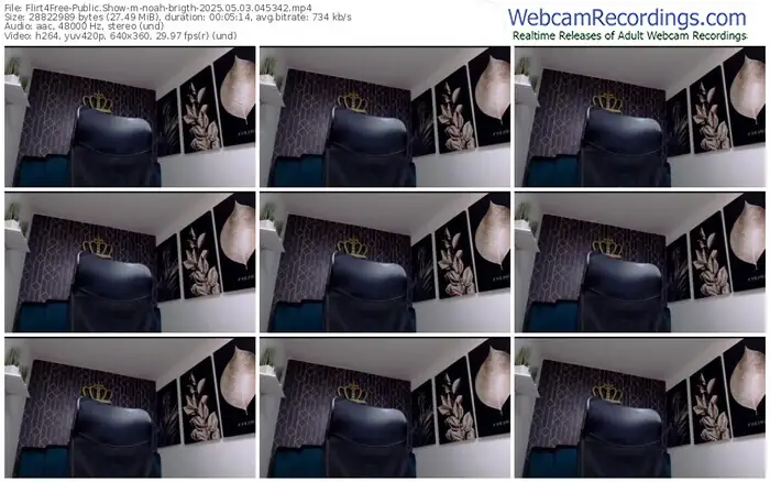 2025/05/03/flirt4free-noah-brigth-04-53-42