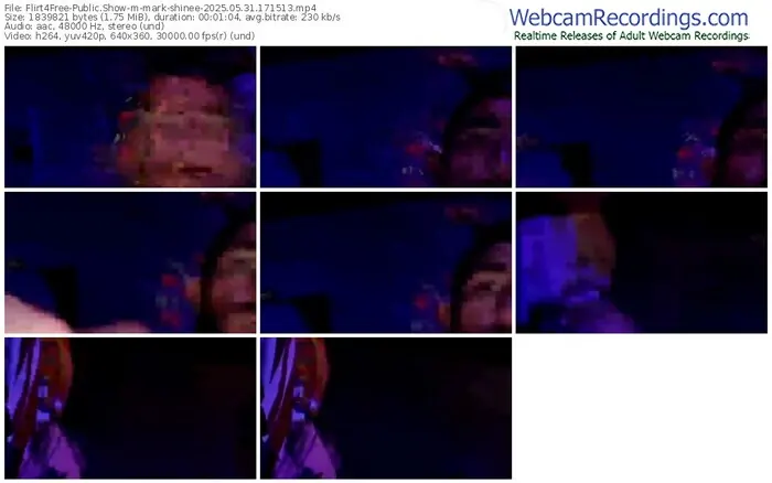 2025/05/31/flirt4free-mark-shinee-17-15-13