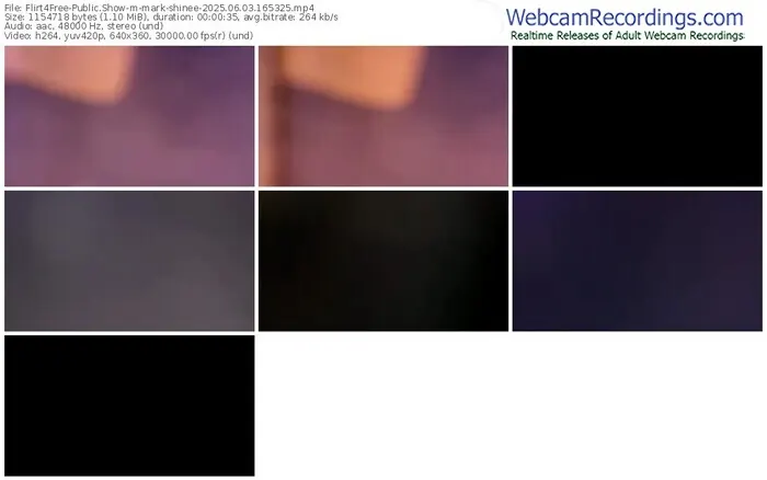 2025/06/03/flirt4free-mark-shinee-16-53-25