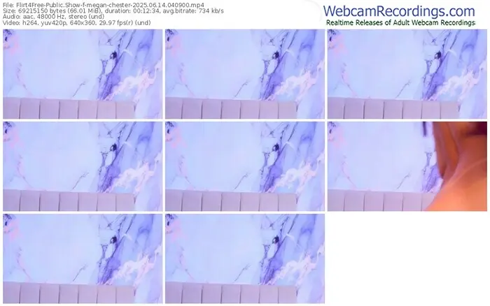 2025/06/14/flirt4free-megan-chester-04-09-00