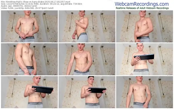 2025/06/17/flirt4free-harry-blake-05-13-57