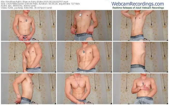 2025/06/18/flirt4free-harry-blake-03-27-07