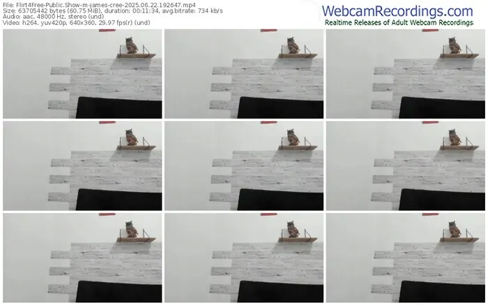 2025/06/22/flirt4free-james-cree-19-26-47
