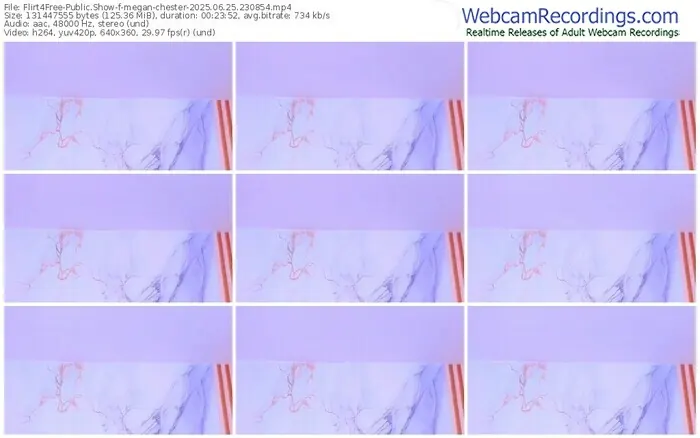 2025/06/25/flirt4free-megan-chester-23-08-54