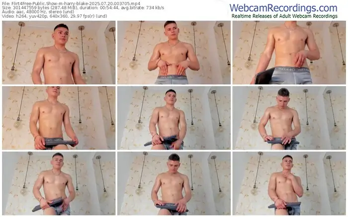 2025/07/20/flirt4free-harry-blake-00-37-05