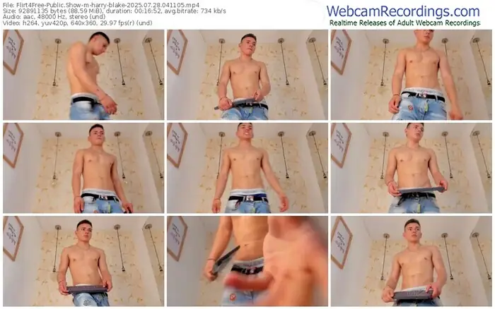 2025/07/28/flirt4free-harry-blake-04-11-05