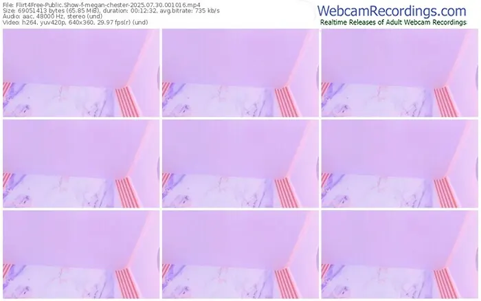 2025/07/30/flirt4free-megan-chester-00-10-16