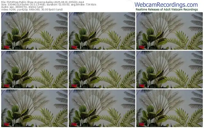 2025/08/01/flirt4free-pierce-bailey-03-56-31