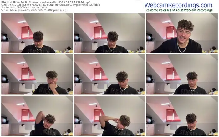 2025/08/02/flirt4free-noah-sandler-12-28-46