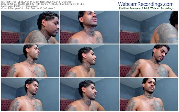 2025/08/04/flirt4free-luigi-vitalee-04-34-27