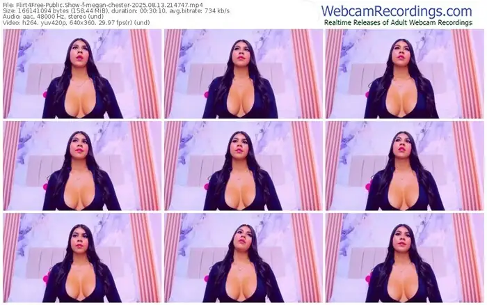 2025/08/13/flirt4free-megan-chester-21-47-47