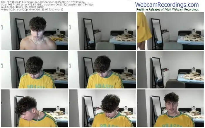 2025/08/13/flirt4free-noah-sandler-18-29-38