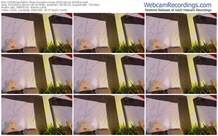 2025/08/14/flirt4free-joselin-rouse-20-04-52