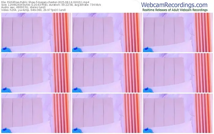2025/08/14/flirt4free-megan-chester-02-02-11