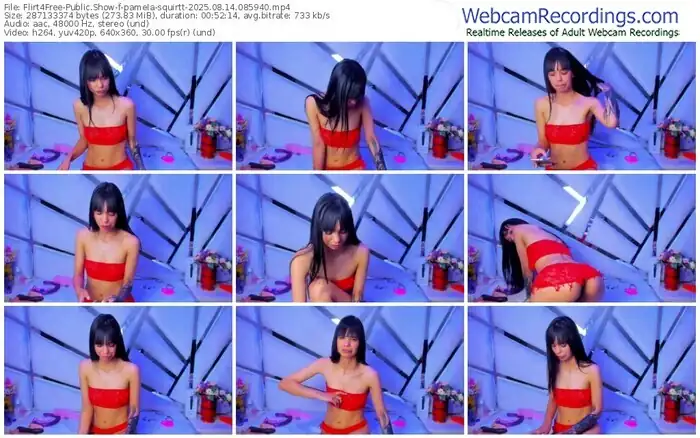 2025/08/14/flirt4free-pamela-squirtt-08-59-40