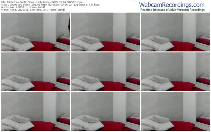 2025/08/14/flirt4free-sofy-banks-08-45-05