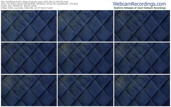 2025/08/14/flirt4free-tammy-grey-23-16-32