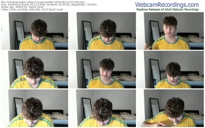 2025/08/14/flirt4free-noah-sandler-12-11-06