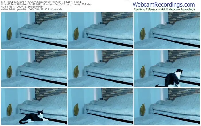 2025/08/14/flirt4free-zaiin-diesel-14-17-08