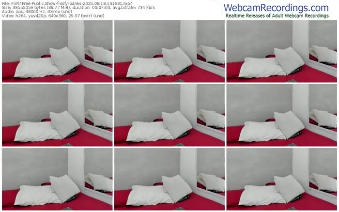 2025/08/18/flirt4free-sofy-banks-16-16-31