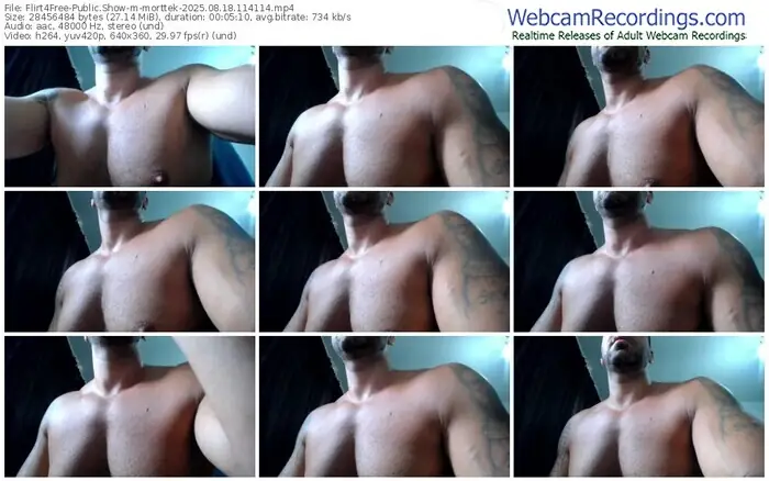 2025/08/18/flirt4free-morttek-11-41-14