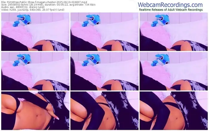 2025/08/19/flirt4free-megan-chester-02-48-37