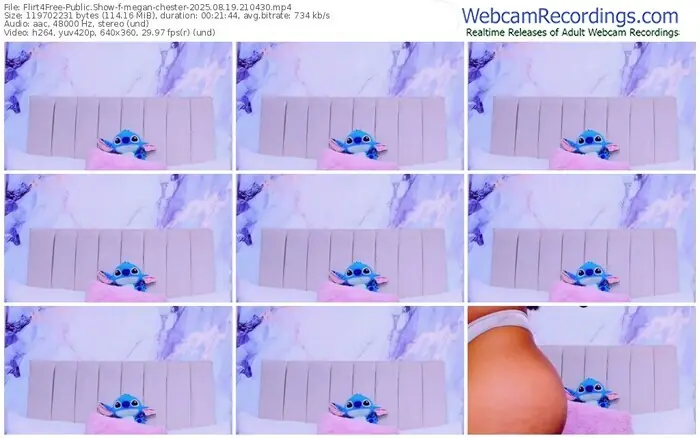 2025/08/19/flirt4free-megan-chester-21-04-30