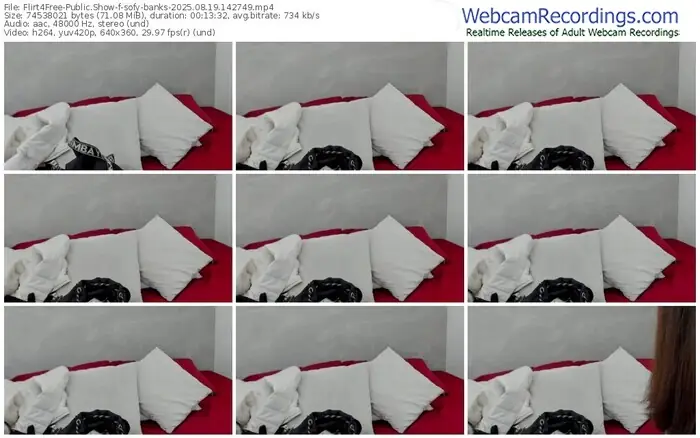 2025/08/19/flirt4free-sofy-banks-14-27-49