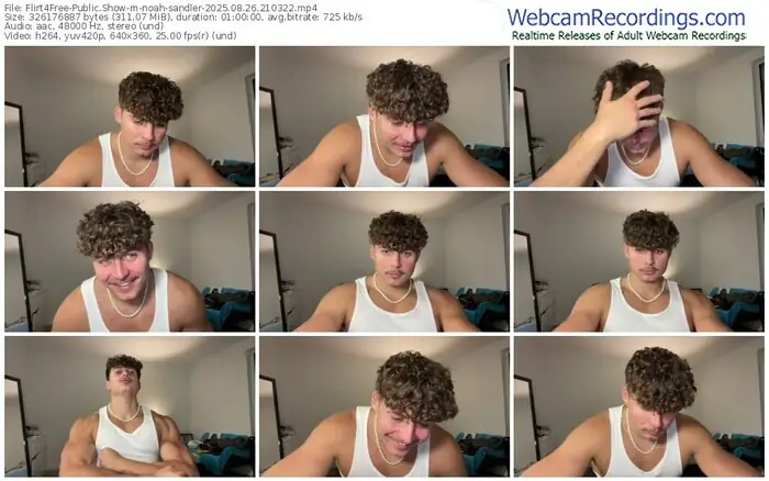 2025/08/26/flirt4free-noah-sandler-21-03-22