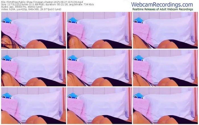 2025/08/27/flirt4free-megan-chester-01-51-39