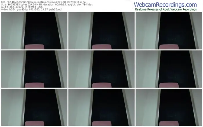 2025/08/28/flirt4free-matius-coslink-23-37-11