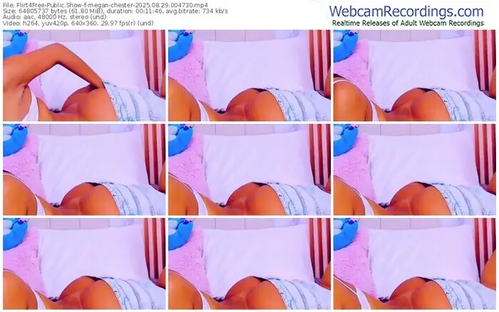 2025/08/29/flirt4free-megan-chester-00-47-30
