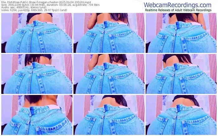 2025/09/04/flirt4free-megan-chester-23-51-03