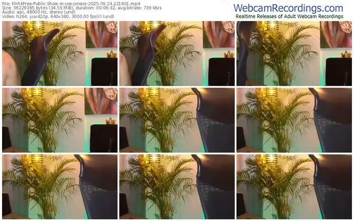 2025/09/24/flirt4free-joe-jonass-22-16-01