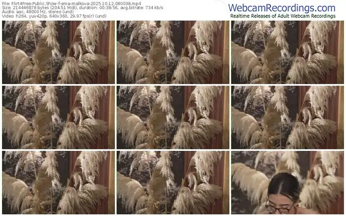 2025/10/12/flirt4free-ema-malkova-08-00-38