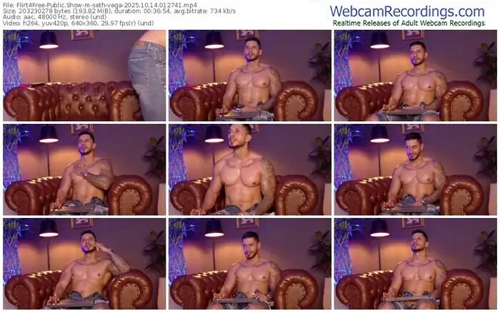 2025/10/14/flirt4free-seth-vega-01-27-41