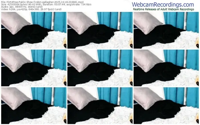 2025/10/18/flirt4free-robin-gallagher-20-48-41