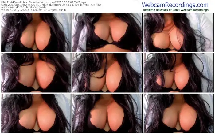 2025/10/19/flirt4free-ebony-louiss-02-35-15