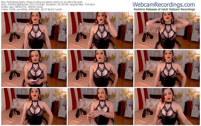 2025/10/22/flirt4free-ehla-mcadam-08-11-09