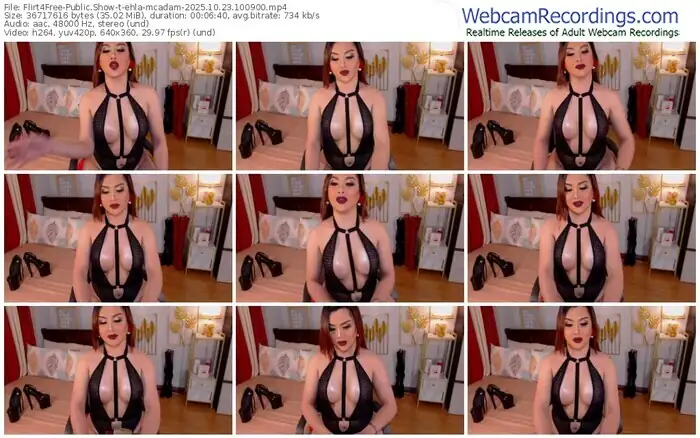 2025/10/23/flirt4free-ehla-mcadam-10-09-00