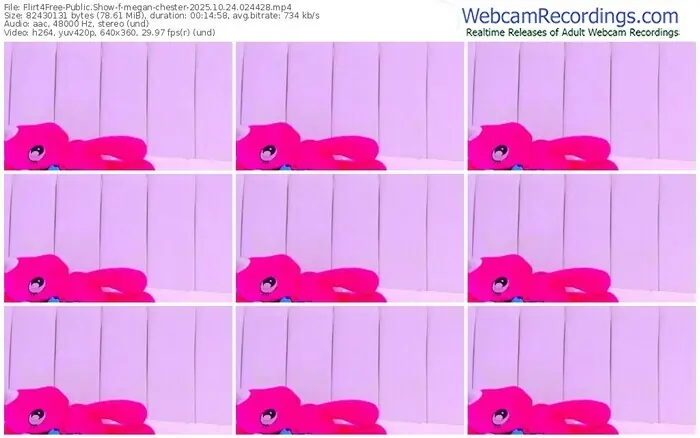 2025/10/24/flirt4free-megan-chester-02-44-28
