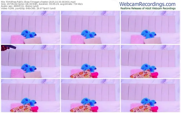 2025/10/30/flirt4free-megan-chester-00-34-31