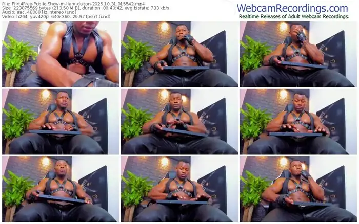 2025/10/31/flirt4free-liam-dalton-01-55-42