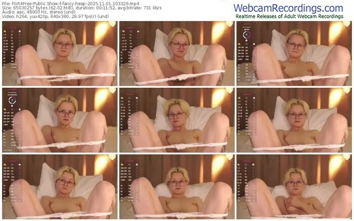 2025/11/01/flirt4free-fancy-heap-10-33-29